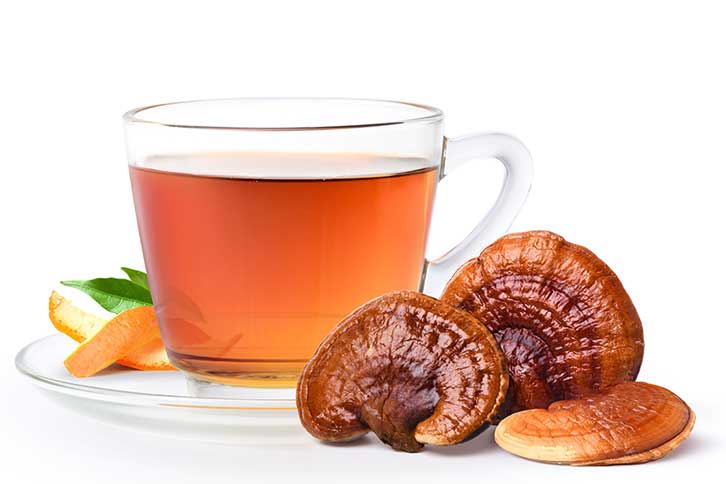 The scientific world has also shown an interest in reishi because of its unique chemical makeup consisting of phenolic compounds, antioxidants, glucans, and polysaccharides. Reishi contains every essential amino acid, along with high level of polysaturated fatty acids. It contains terpenoids, steroids, phenols, and host of other bioactive molecules.