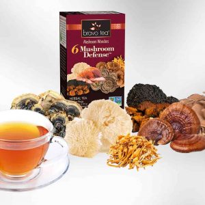 Introducing Bravo Tea's Newest Line Mushroom Wonders